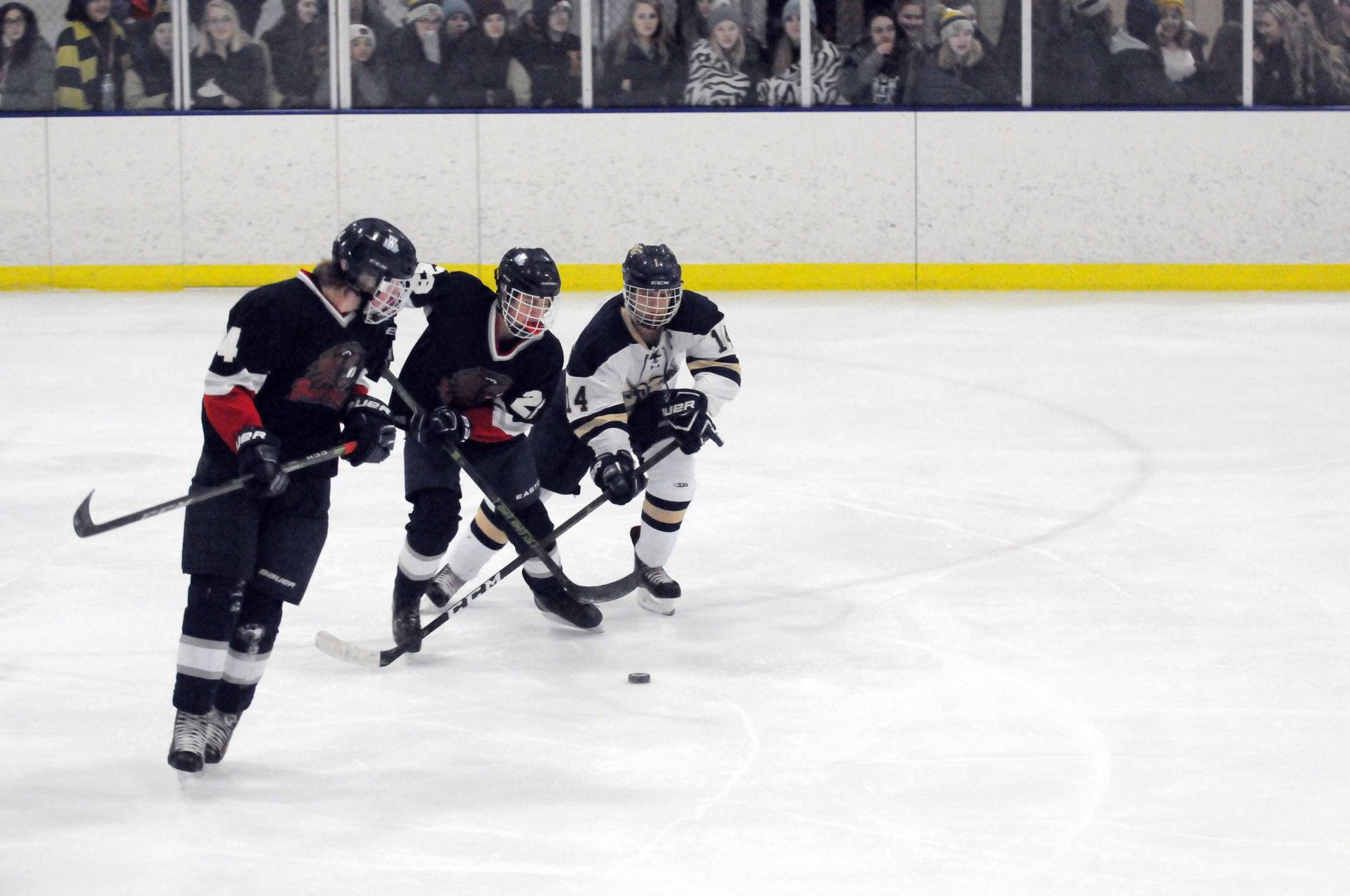 010719-reed-sports-gallery004